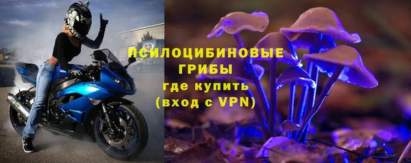 spice Алексеевка