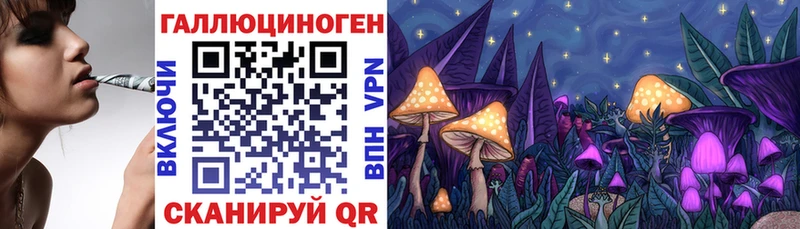 Псилоцибиновые грибы GOLDEN TEACHER Нерехта