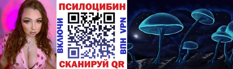 блэк спрут рабочий сайт  Нерехта  Галлюциногенные грибы Magic Shrooms 